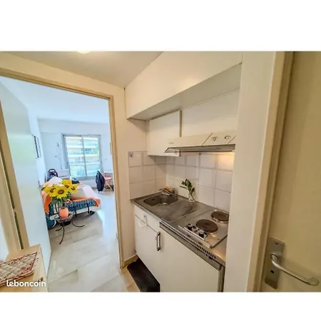 Suquet Proche Palais Des Festivals Congres *