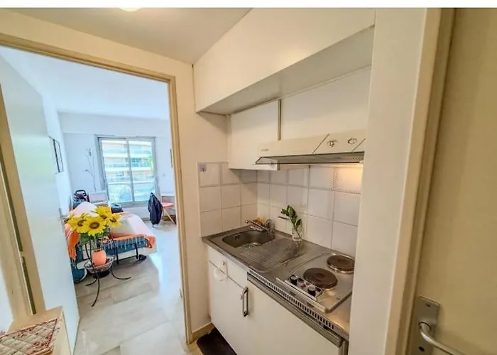 Suquet Proche Palais Des Festivals Congres *